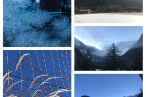 成都疫情封锁何时解除？最新消息揭晓