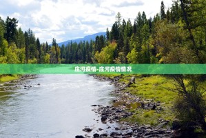 大连大学城的学生呐喊“庄河加油”,庄河的疫情情况怎么样？