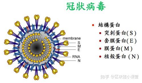 “美国新型冠状病毒最新消息” 美国新型冠状最新情况？-第3张图片
