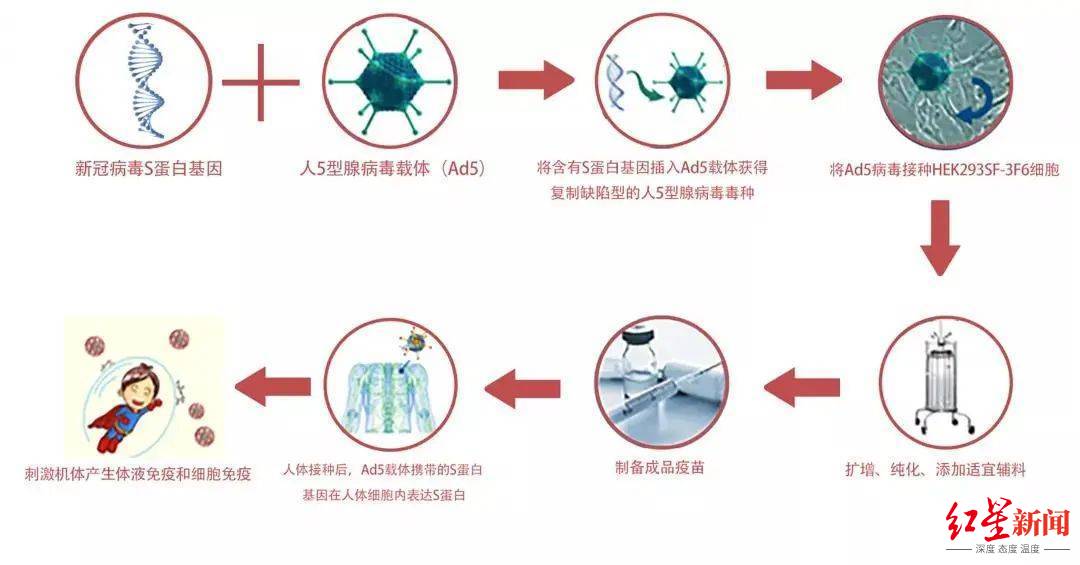 中国疫情最新数据〃中国一针没打疫苗人数占比-第1张图片