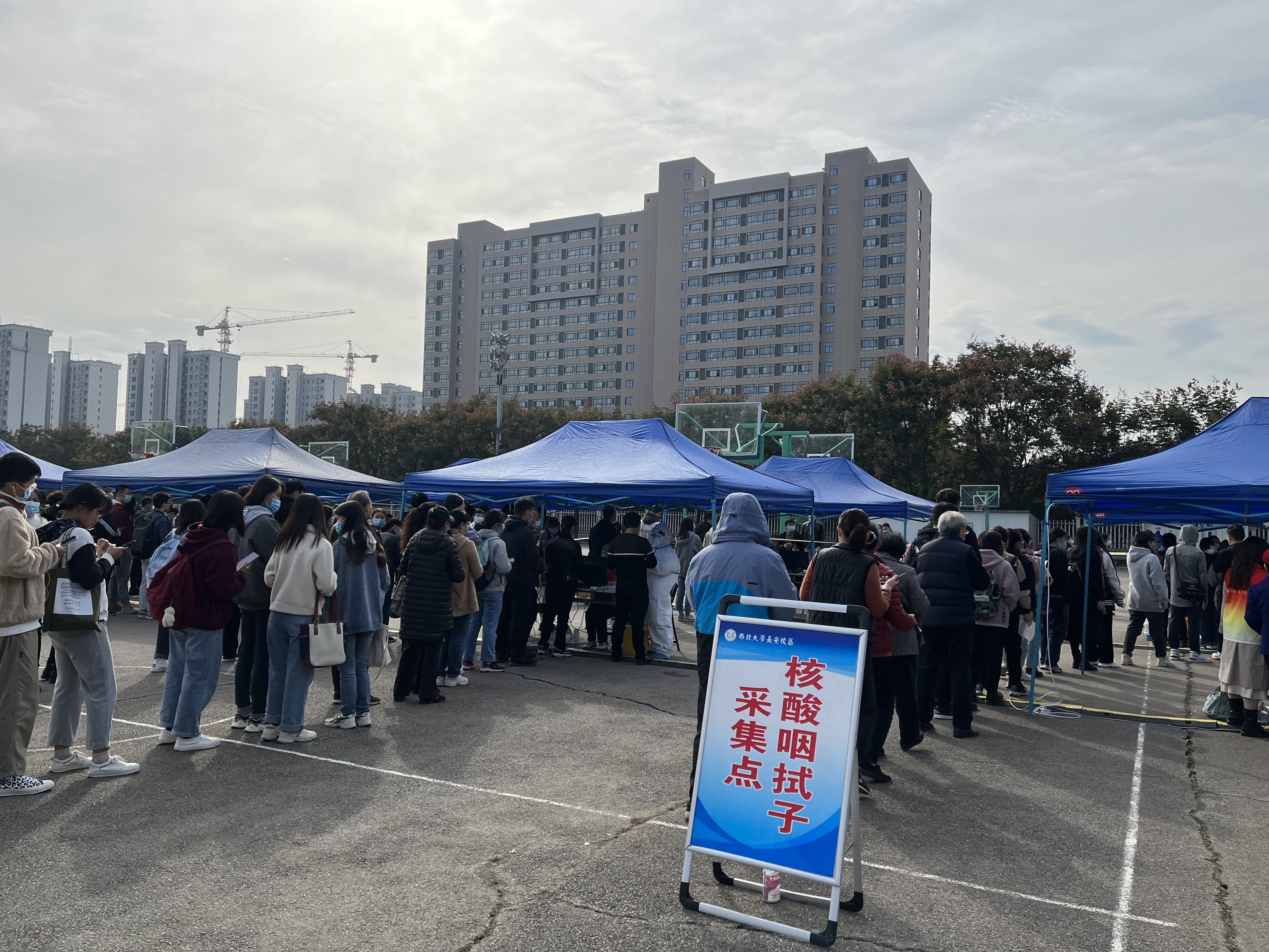 “专家回应常态化做核酸安全吗	” 常态化核酸检测？-第1张图片